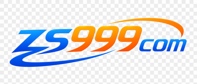 zs999com